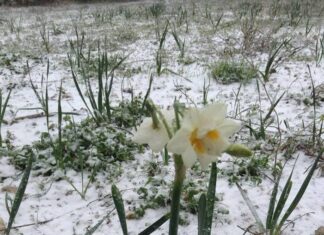 KARABURUN YEREL YÖNETİCİ ADAYI İLE İŞBİRLİĞİ İSTİYOR